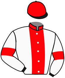 Casaque du n°7 — DAIANA