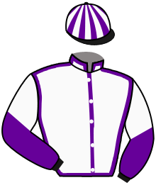 Casaque du n°9 — RABEA