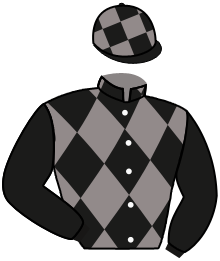 Casaque du n°13 — MENTOR