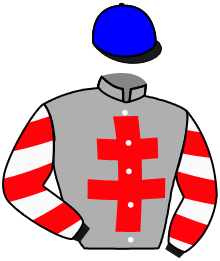 Casaque du n°2 — GESA