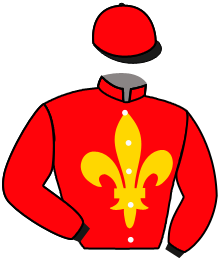 Casaque du n°9 — ROCKSHALAA