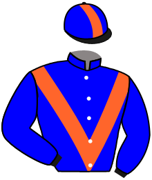 Casaque du n°13 — NORTH FIRE