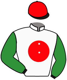 Casaque du n°4 — NEXT EAGLE