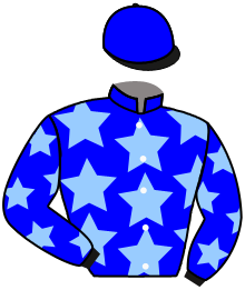 Casaque du n°11 — AIDA