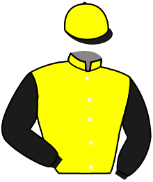 Casaque du n°2 — SOREANGA