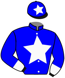 Casaque du n°3 — GUA LIPA