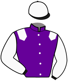 Casaque du n°11 — HIPPOCRATE DU TRIO