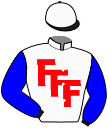 Casaque du n°6 — GREFFIERS FLINOIS