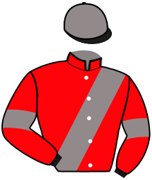 Casaque du n°7 — JUSTESS VIKING