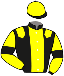 Casaque du n°2 — TAURUS CROWN
