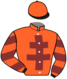 Casaque du n°5 — OLYMPIQUE