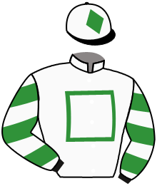 Casaque du n°11 — HAMILTON DESJY