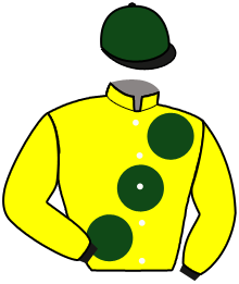 Casaque du n°13 — FIRST CREATION