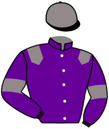 Casaque du n°16 — BALINA GARY