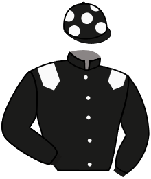 Casaque du n°11 — IMPARATOR