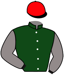 Casaque du n°2 — WARDAMA