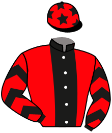 Casaque du n°6 — LA PELEMOISE