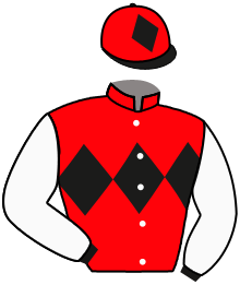 Casaque du n°12 — SEMEUR