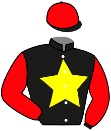 Casaque du n°2 — SEABISCUIT DU RHEU