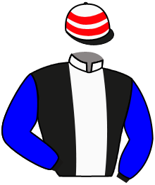 Casaque du n°2 — SERPENTAR