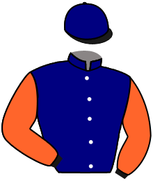 Casaque du n°1 — NOGA STAR