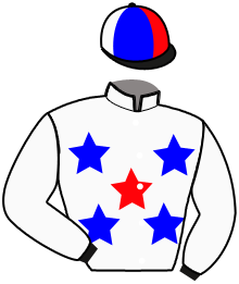 Casaque du n°16 — SONATA PARK