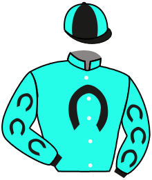 Casaque du n°2 — ASOMBROSA