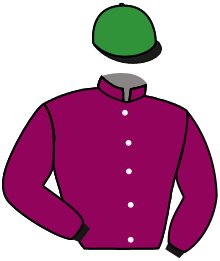 Casaque du n°8 — CAMELLIA