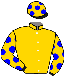 Casaque du n°4 — SPARCO