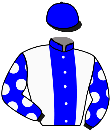 Casaque du n°5 — ZELENSKI