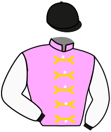 Casaque du n°7 — AVE ROYALE