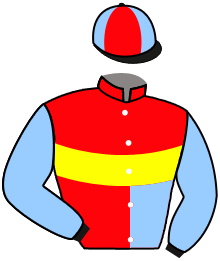 Casaque du n°2 — ANDABA DE PARRANDA