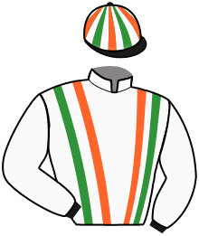 Casaque du n°13 — EL PINGO