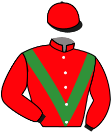 Casaque du n°2 — ALTO GUARDIAN