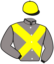 Casaque du n°4 — KINGSLAND DE SIMM