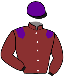 Casaque du n°2 — LASH PERRINE
