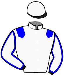 Casaque du n°7 — JOE TEJY