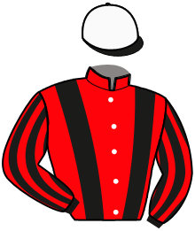 Casaque du n°6 — MAESTRIA GALAA