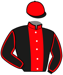 Casaque du n°12 — NAPOLEON DE GOUYE