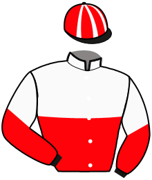Casaque du n°9 — NINA ERA