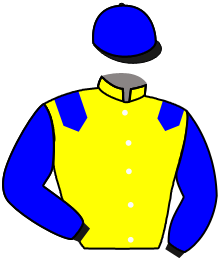Casaque du n°1 — TSAVERNA