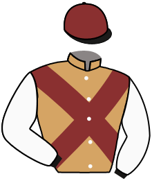 Casaque du n°12 — VILLANONO