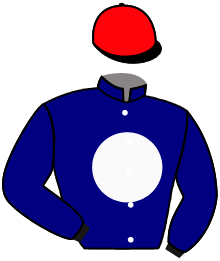 Casaque du n°9 — PERTUISANE