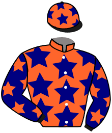 Casaque du n°12 — GREYMARA