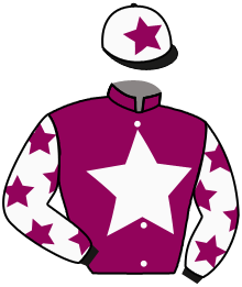 Casaque du n°14 — GOLDEN VALE