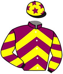Casaque du n°11 — TORREADOR