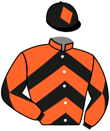Casaque du n°2 — THE LAST FOAL