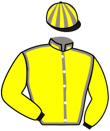 Casaque du n°6 — ULTRASPI