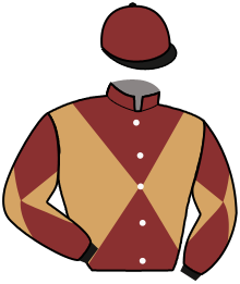 Casaque du n°11 — MOABI