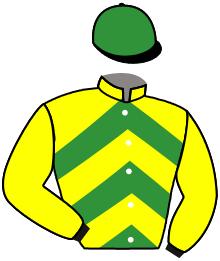 Casaque du n°5 — BALAKOVNA